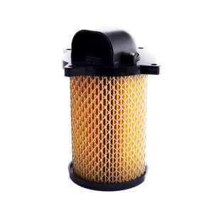 Filtro de Aire GS ITALIKA DM150